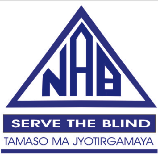 NAB India logo